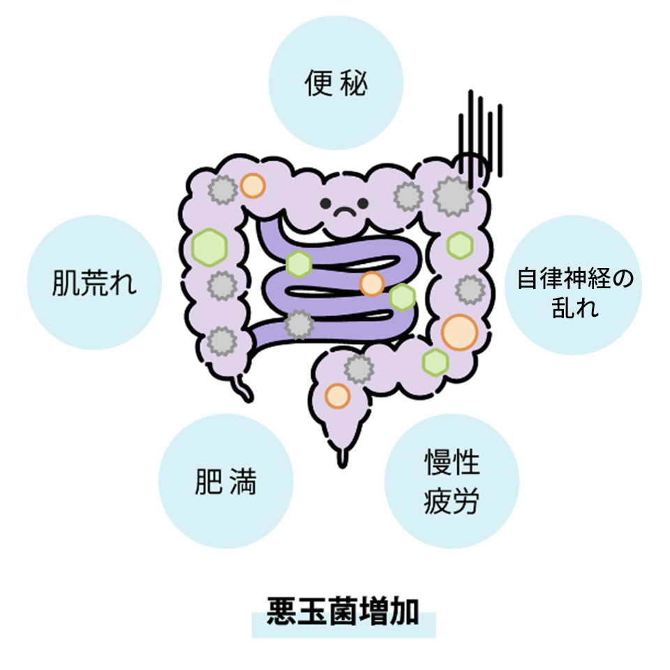 酵素ドリンクEx